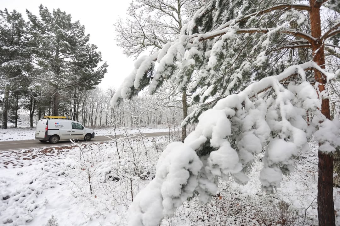 Camión en una carretera nevada rodeado de árboles cubiertos de nieve
