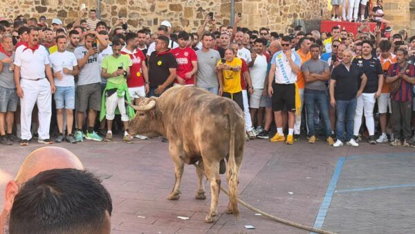 Toro Cardilisto en medio de una multitud durante las fiestas de Benavente