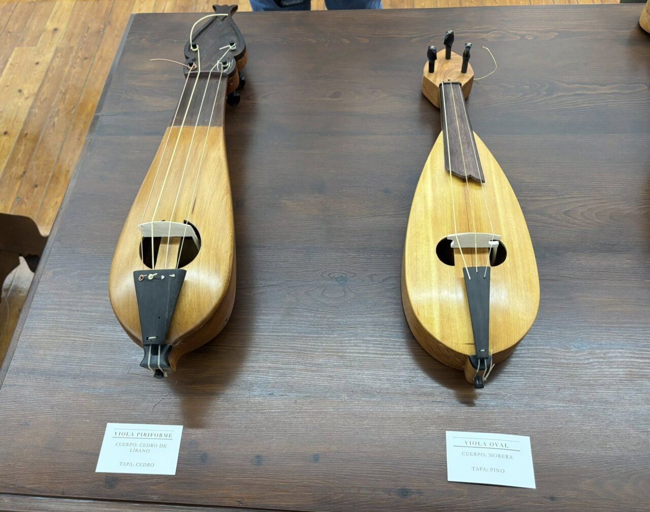 Dos instrumentos de cuerda medieval en una mesa de exhibición
