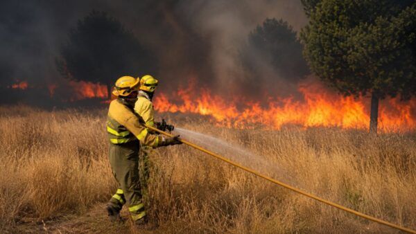 Bomberos trabajando en la extinción de un incendio forestal en Fermoselle