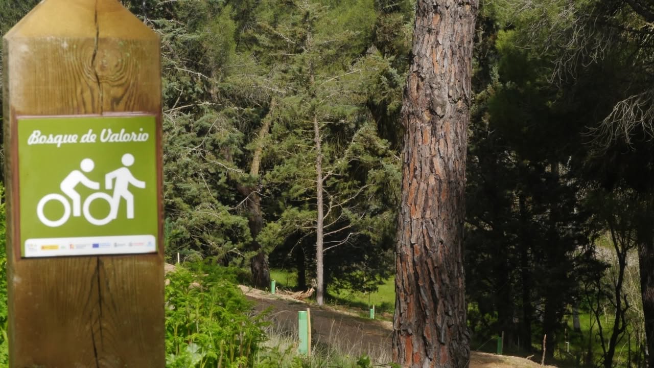 Señal del Bosque de Valorio con árboles al fondo