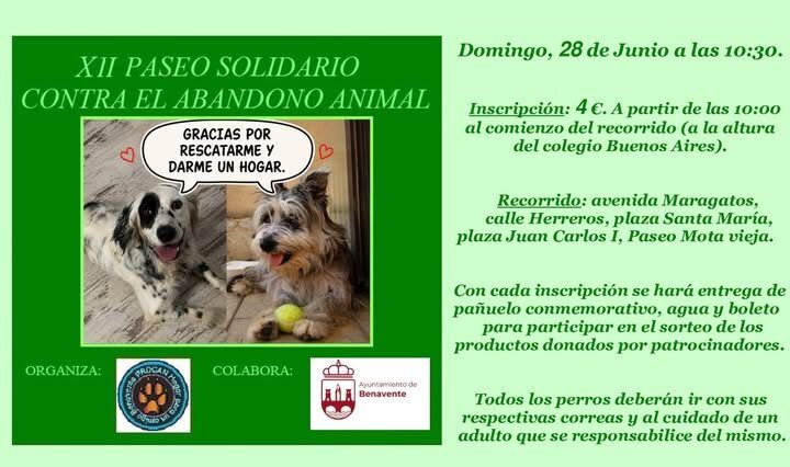 Cartel del paseo solidario contra el abandono animal en Benavente con perros
