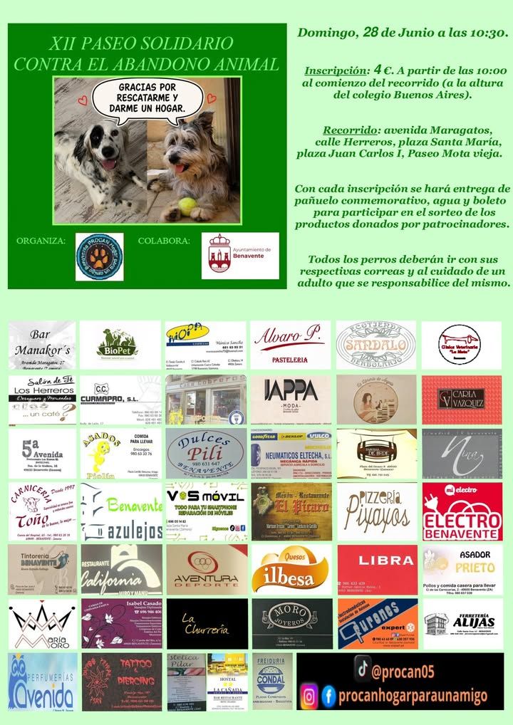 Cartel del paseo solidario contra el abandono animal en Benavente con perros
