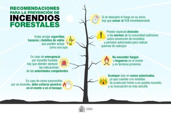 Recomendaciones para prevenir incendios forestales en verano