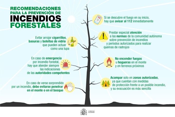 Recomendaciones para prevenir incendios forestales en verano