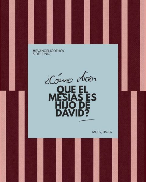 Imagen con texto sobre el Mesías y David en el Evangelio