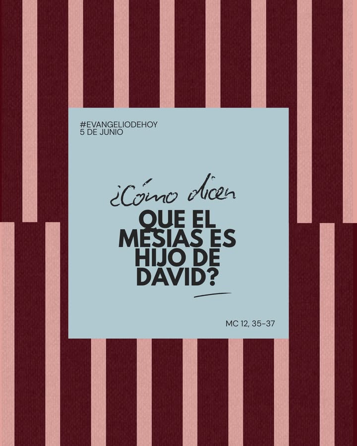 Imagen con texto sobre el Mesías y David en el Evangelio