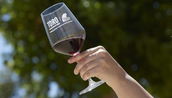 Brindis con una copa de vino de la Ruta del Vino de Toro