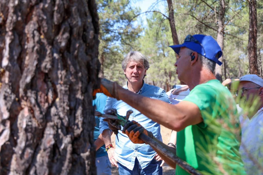 Carlos Martínez Mínguez discutiendo gestión forestal en un bosque.