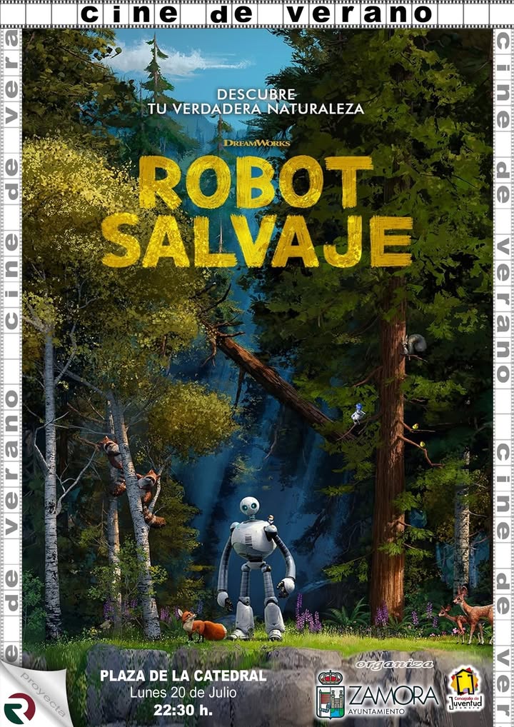 Cartel del ciclo de cine de verano en la Plaza de la Catedral de Zamora