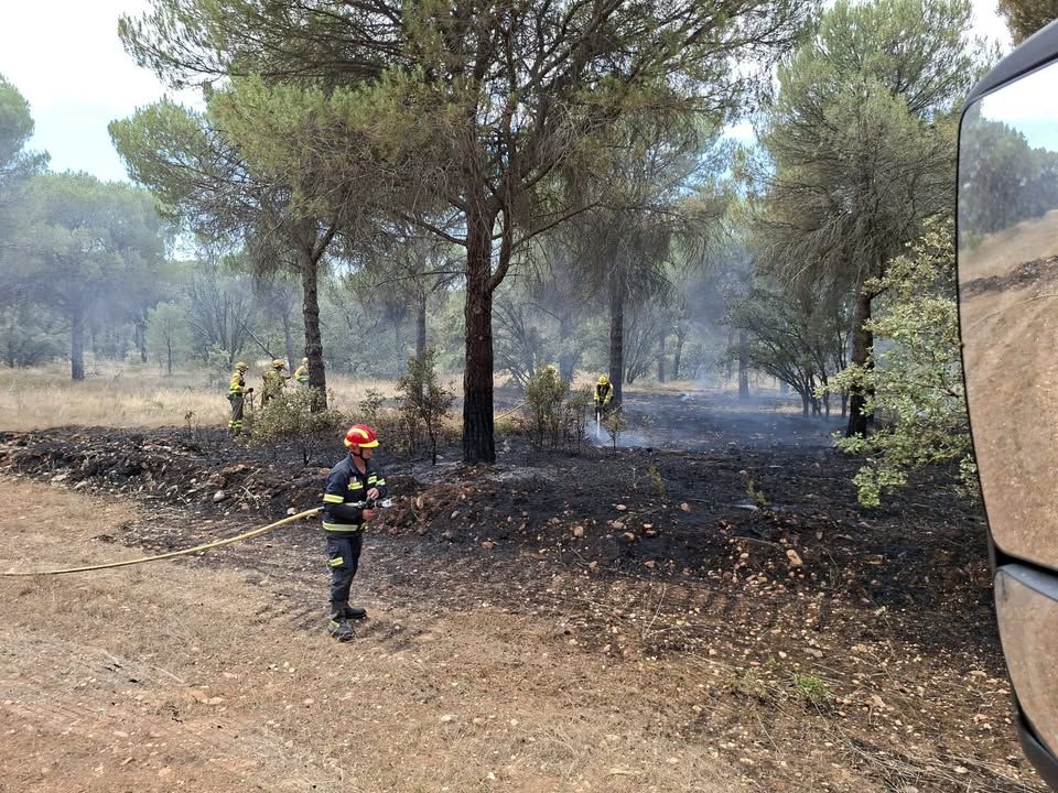 Bomberos trabajando en el incendio del Monte del Raso en Villalpando