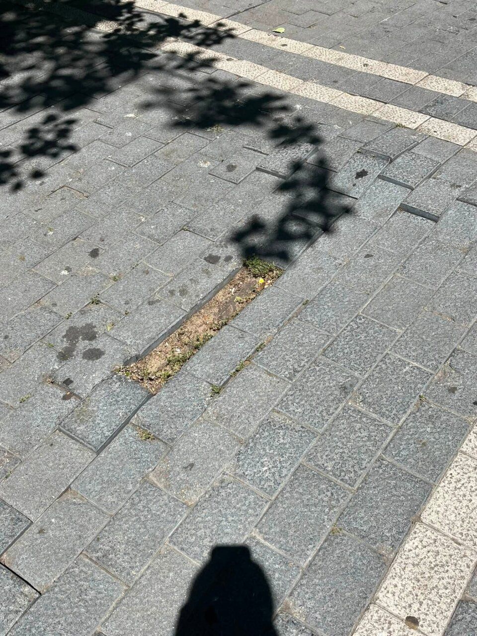 Pavimento deteriorado con baldosas rotas y tierra expuesta en Zamora