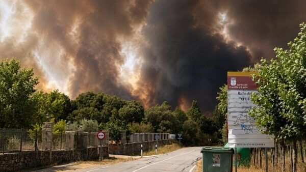 Incendio forestal en Arribes del Duero con humo denso y vegetación