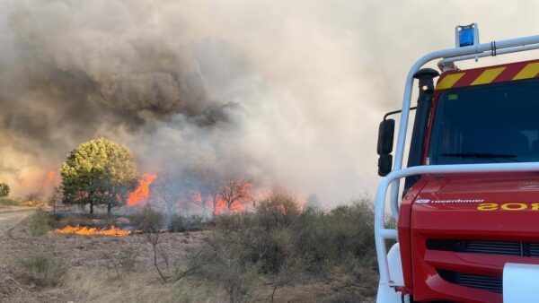 Bomberos trabajando en la extinción de un incendio forestal en Rábano de Aliste.