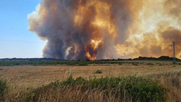 Gran columna de humo de un incendio forestal en Sayago