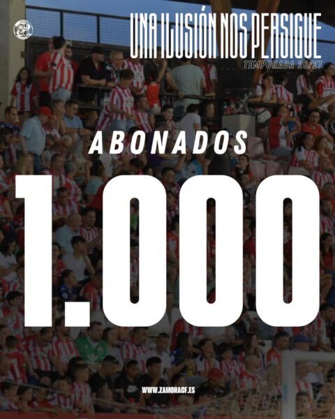 Multitud de personas apoyando una causa en Zamora