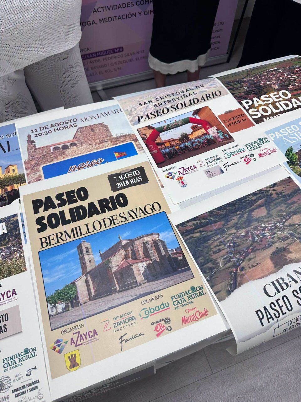 Carteles de paseos solidarios organizados por AZAYCA en Zamora.