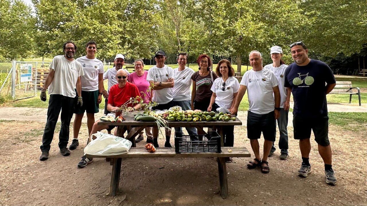 Grupo de personas recolectando verduras en los huertos de Zamora
