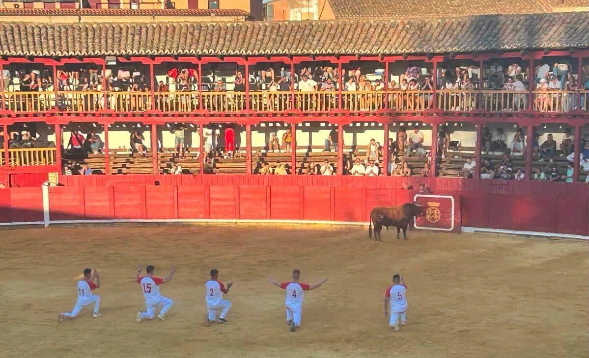 Participantes en el Concurso de Cortes en Toro, con un toro en la plaza.