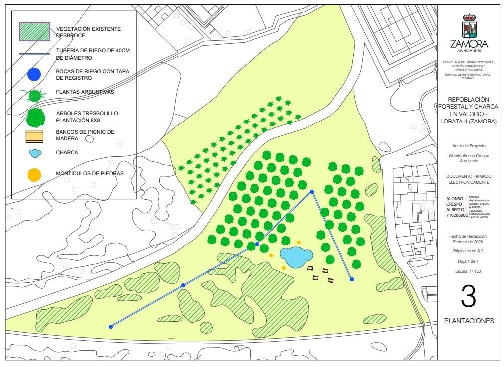 Mapa de la repoblación forestal en Vistillas-Lobata, Zamora.