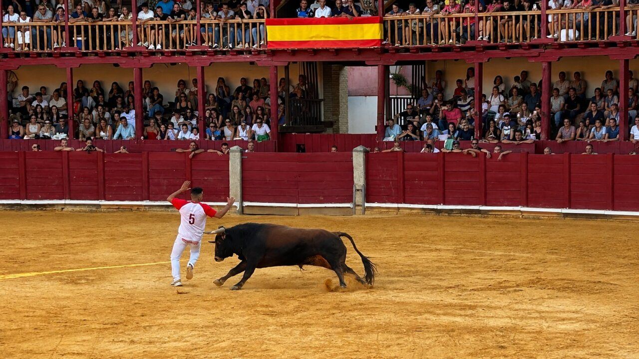 Un torero compitiendo en el Concurso de Cortes en Toro, España.