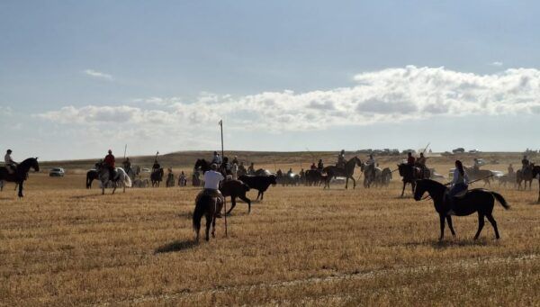 Participantes en el encierro campero montando a caballo en un campo