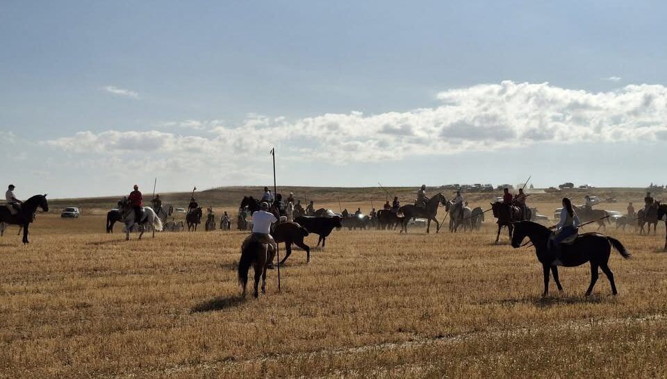 Participantes en el encierro campero montando a caballo en un campo