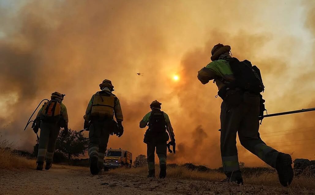 Bomberos enfrentando un incendio forestal en Fermoselle