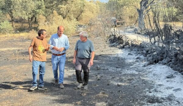 Tres hombres conversando en un área afectada por incendios.