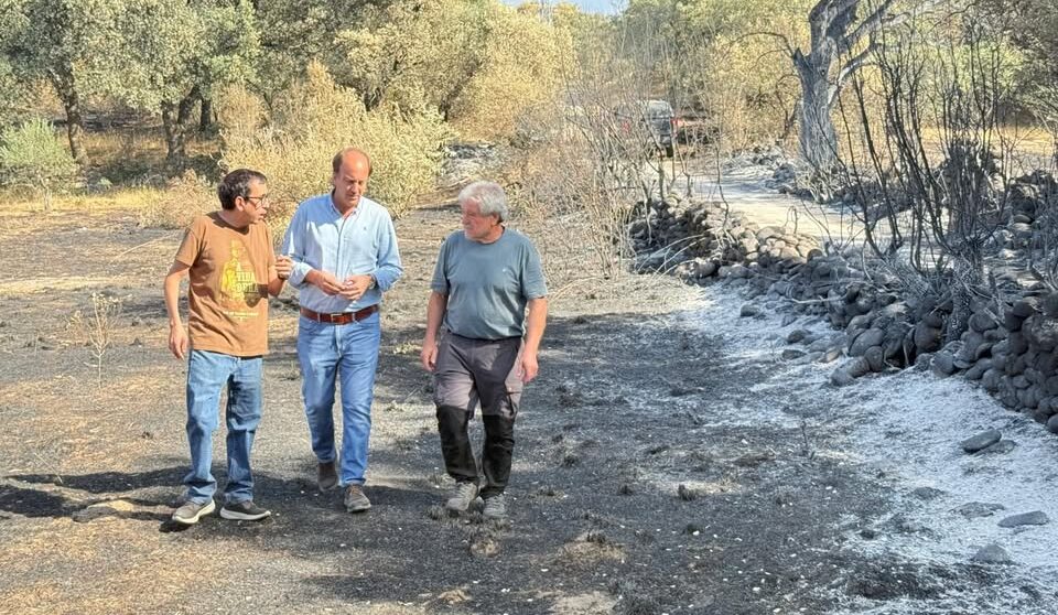Tres hombres conversando en un área afectada por incendios.