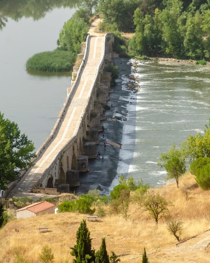 Vista del Puente Mayor de Toro sobre el río con vegetación alrededor