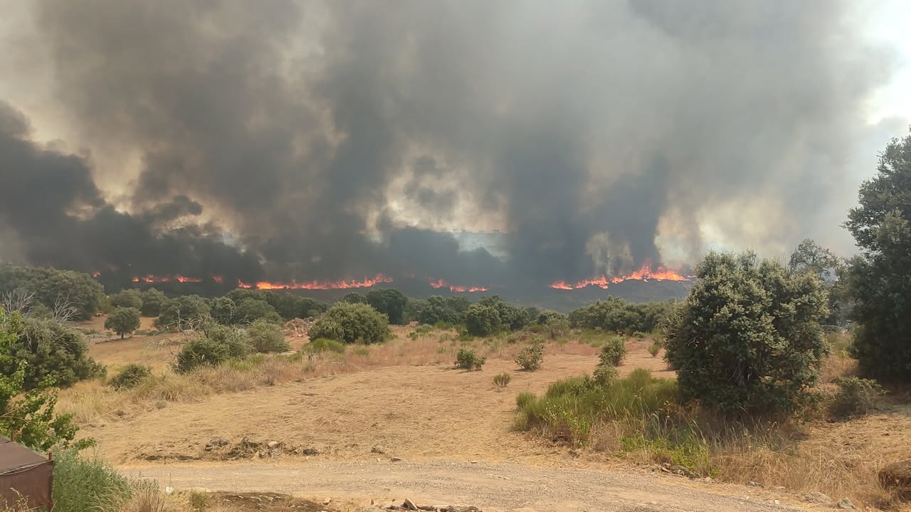 Vista de un incendio forestal en Fermoselle con humo y llamas