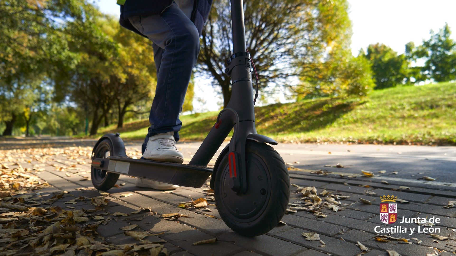 Persona montando un patinete eléctrico en un camino rodeado de hojas