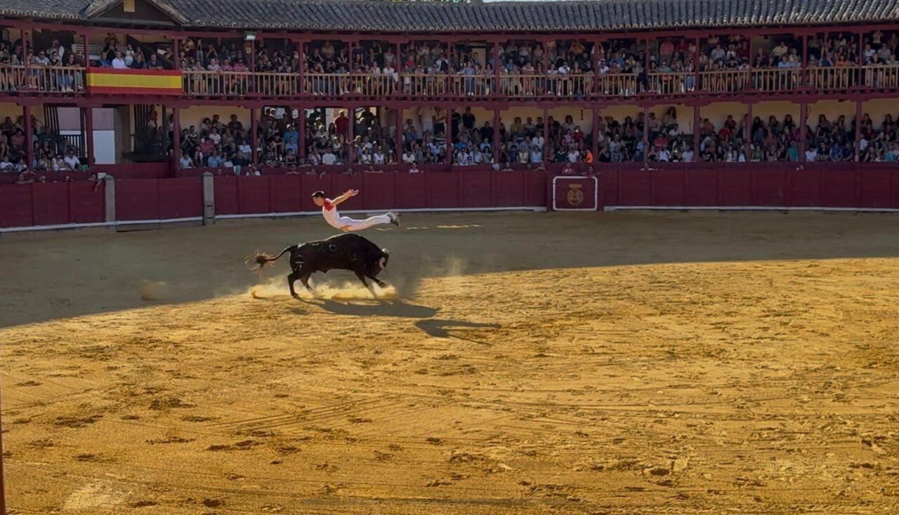 Un torero saltando sobre un toro en el Concurso de Cortes en Toro