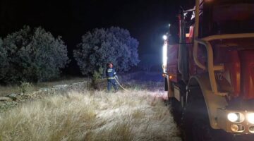 Intervención de bomberos en incendio forestal en Las Torres de Aliste