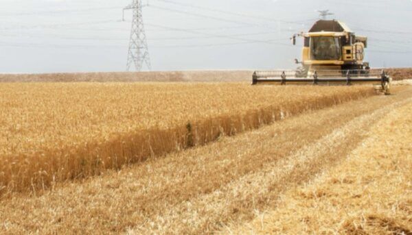 Cosechadora trabajando en un campo de trigo en Castilla y León
