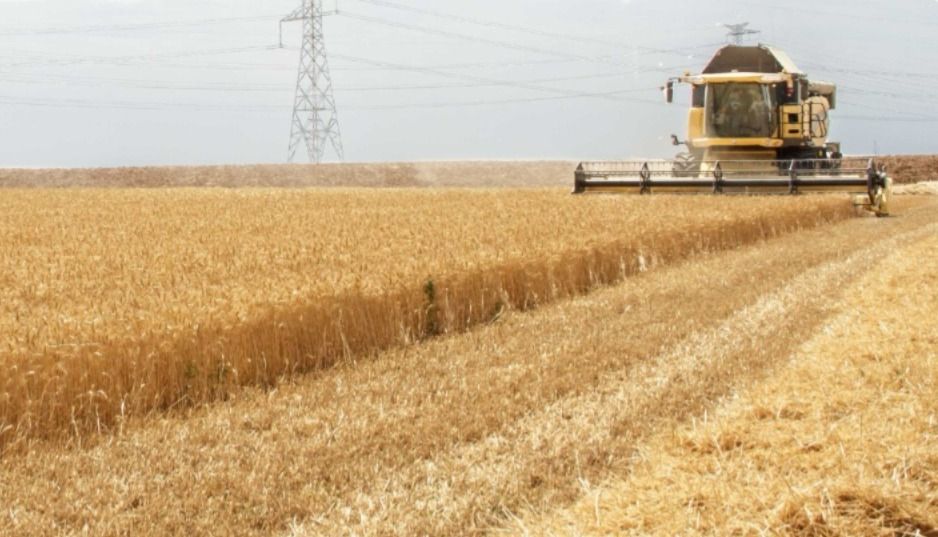 Cosechadora trabajando en un campo de trigo en Castilla y León
