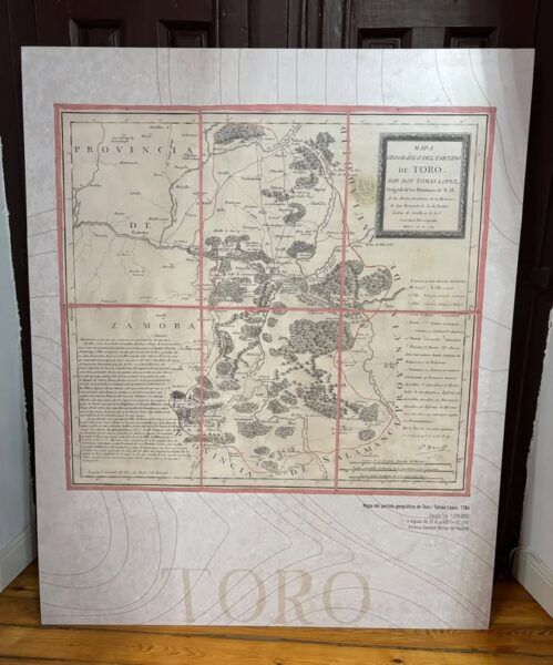 Mapa geográfico del partido de Toro de 1784 con detalles históricos