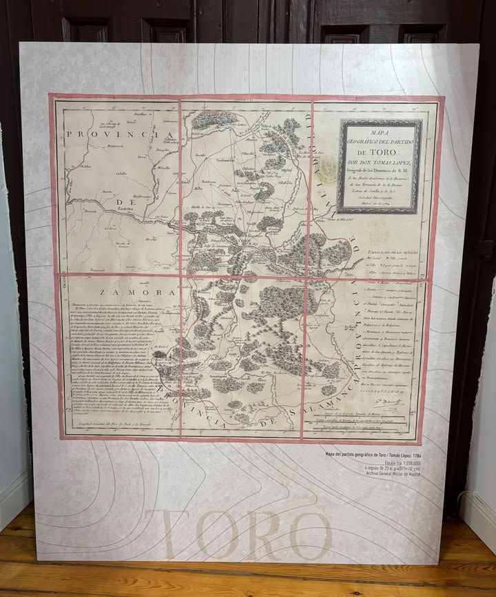 Mapa geográfico del partido de Toro de 1784 con detalles históricos