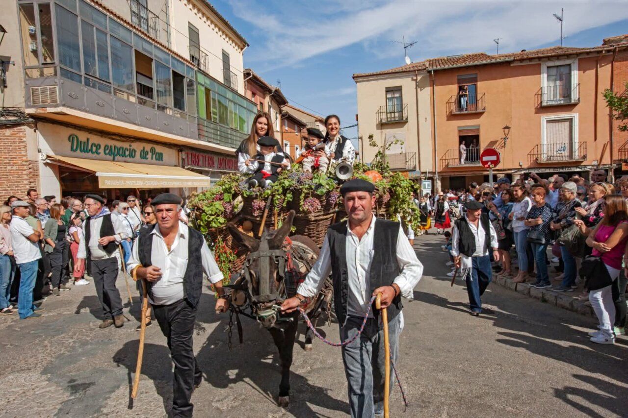 Desfile de carros de la Vendimia en Toro con participantes y espectadores