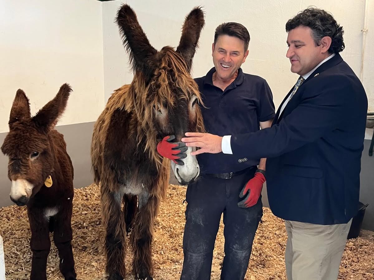 Personas interactuando con burros en la feria Salamaq 2026