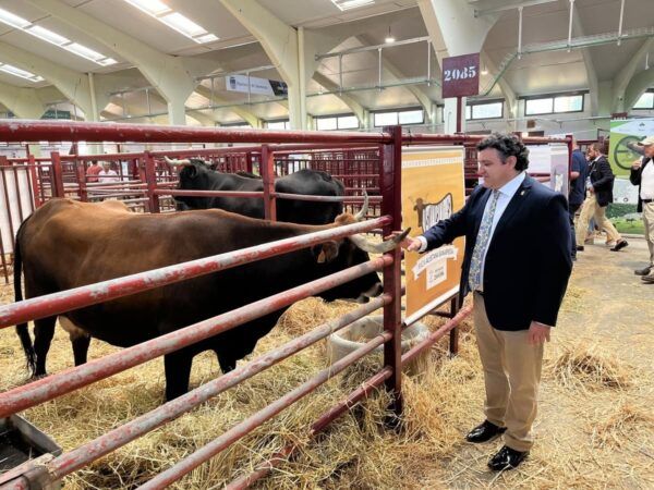 Diputado interactuando con ganado en Salamaq 2026