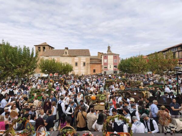 Multitud de personas en el Desfile de Carros Engalanados en Toro