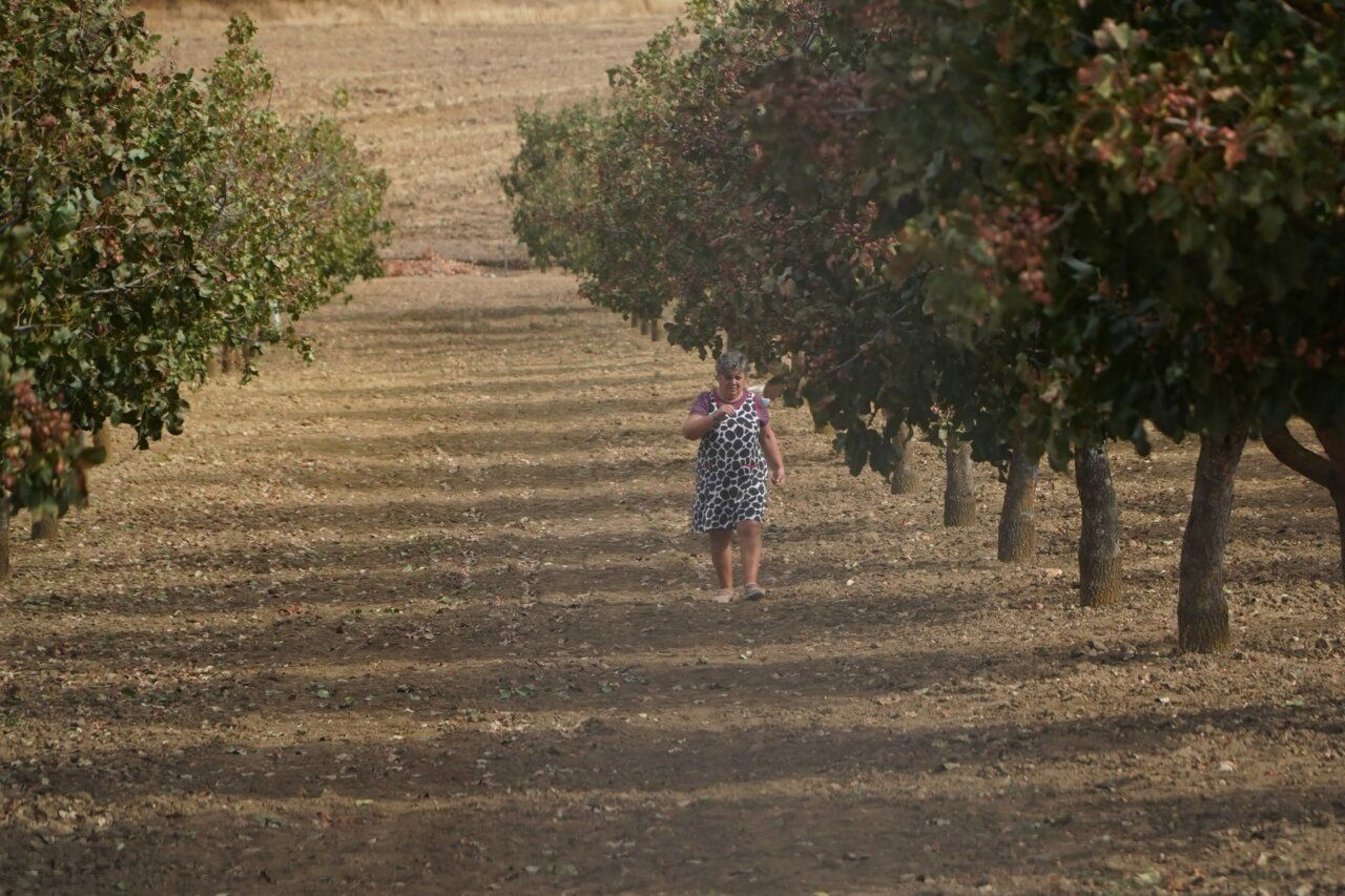 Mujer caminando entre árboles en San Miguel de la Ribera