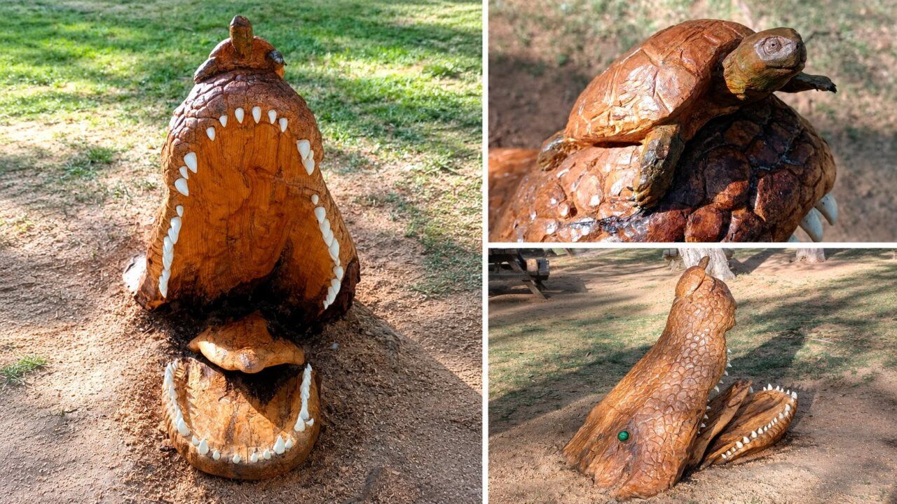 Collage fotográfico de una escultura de cocodrilo de madera con una tortuga encima