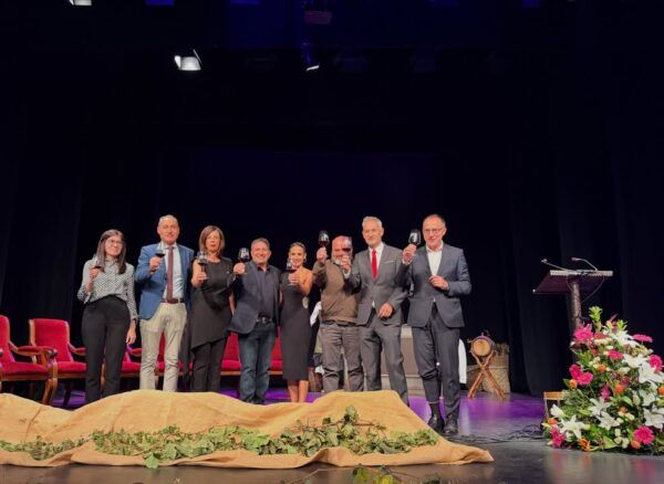 Grupo de personas levantando copas en la Fiesta de la Vendimia en Toro